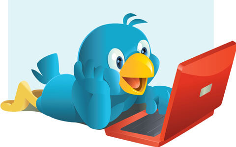 Buy Twitter Followers review